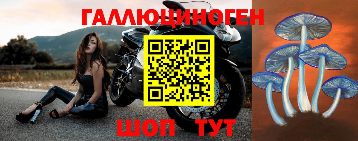 Галлюциногенные грибы Cubensis  Вход с VPN  Шелехов 
